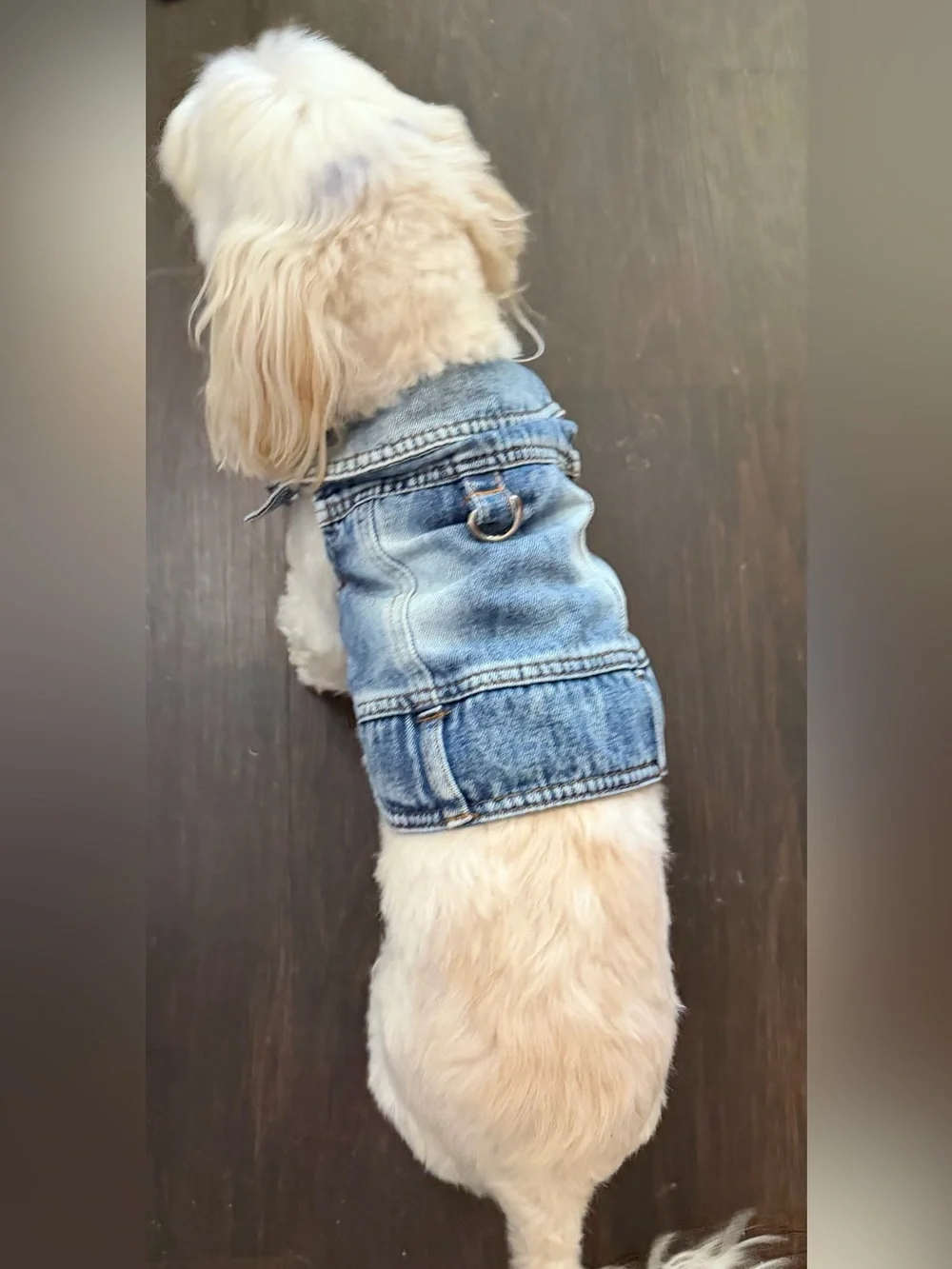 Denim Dog Vest NWT Size medium